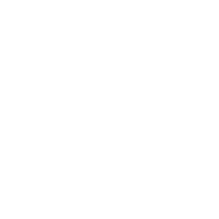 wordpress2